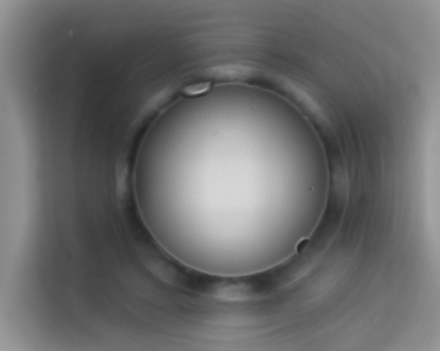 X0000113980403200910091322