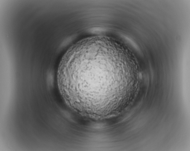 X0000113980404200910091322