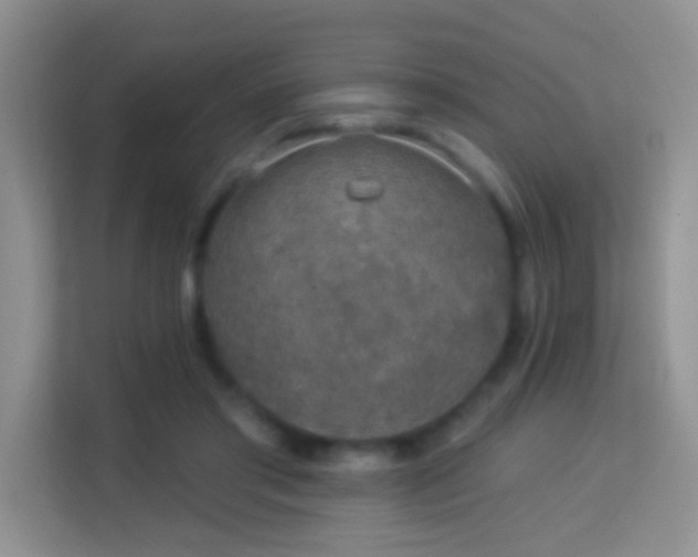 X0000113980405200910091322