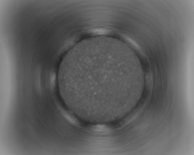 X0000113980406200910091322