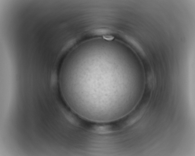 X0000113980407200910091322