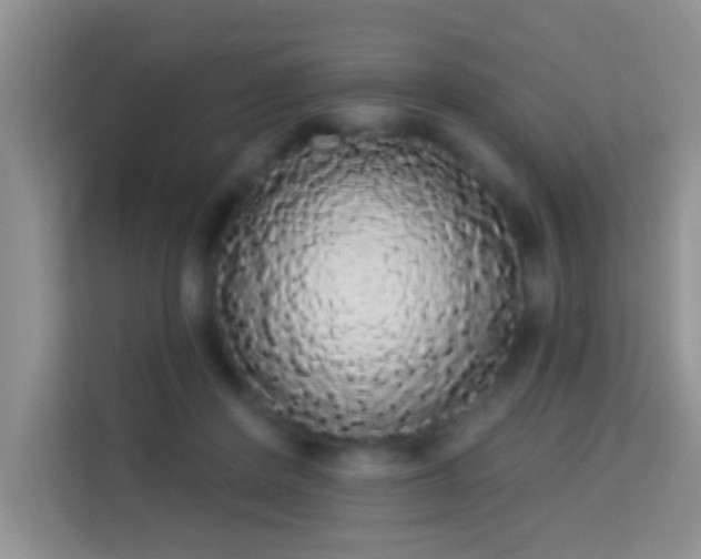 X0000113980408200910091322