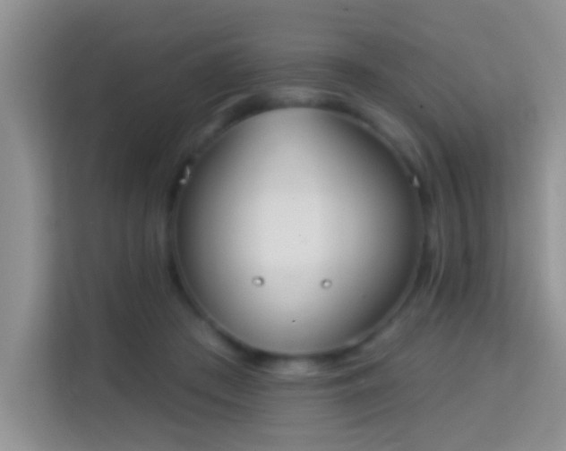 X0000113980409200910091322