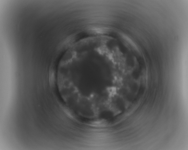 X0000113980410200910091322