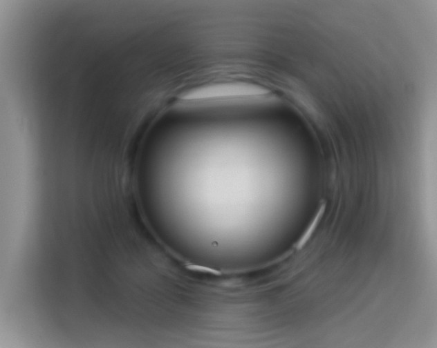 X0000113980411200910091322