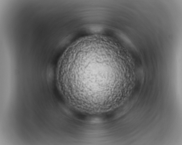 X0000113980412200910091322