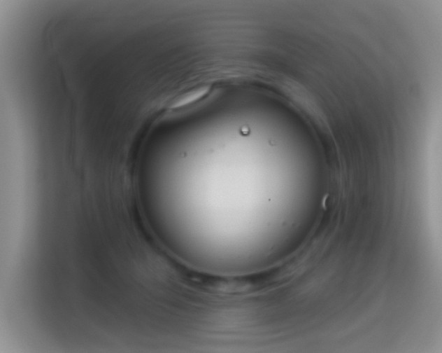 X0000113980415200910091322