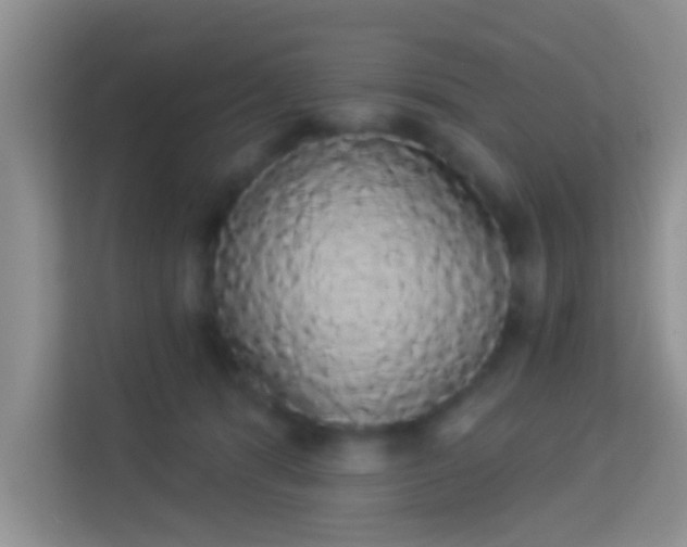 X0000113980416200910091322