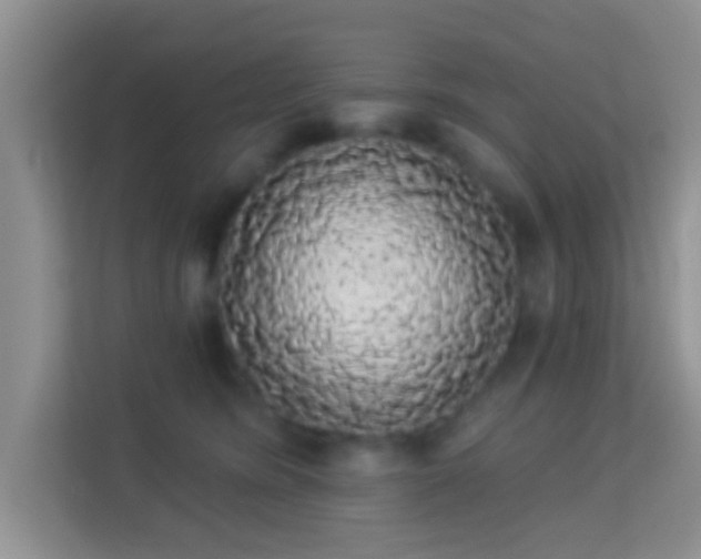 X0000113980420200910091322