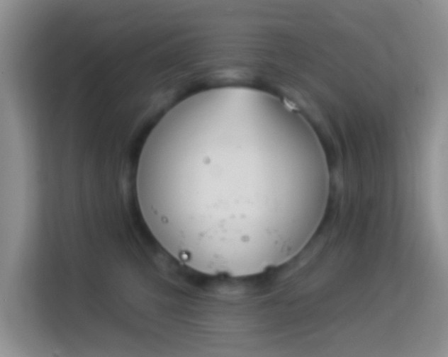 X0000113980423200910091322