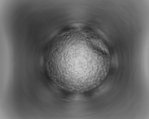 X0000113980424200910091322