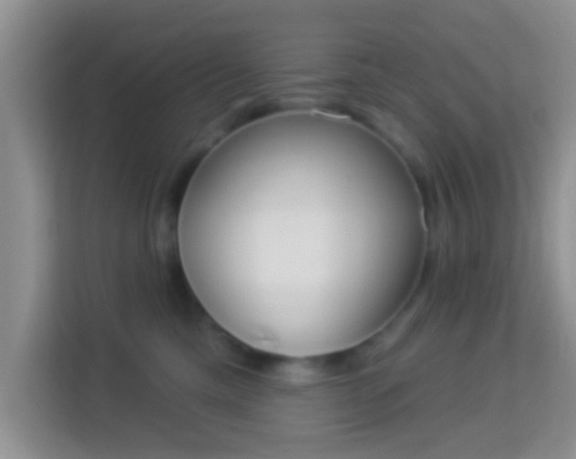 X0000113980425200910091322