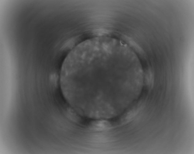 X0000113980427200910091322