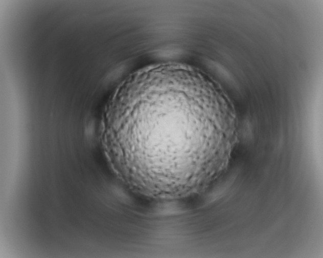 X0000113980428200910091322