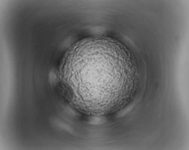 X0000113980432200910091322