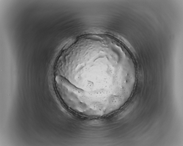 X0000113980433200910091321