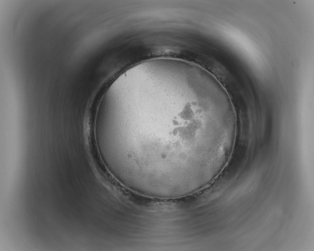 X0000113980435200910091321