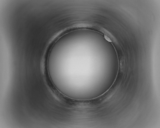 X0000113980436200910091321