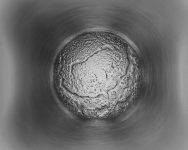 X0000113980437200910091321