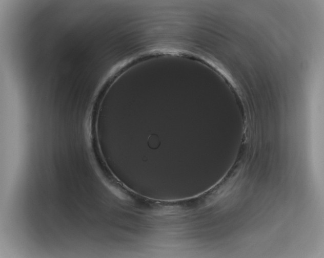 X0000113980438200910091321