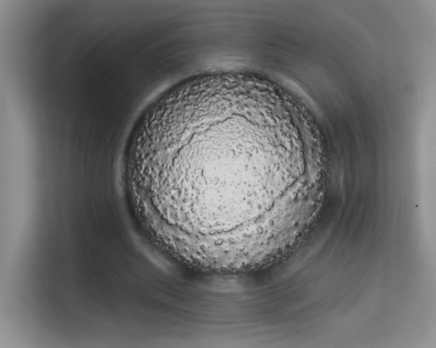 X0000113980439200910091321