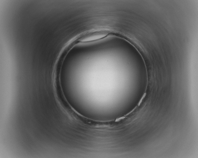 X0000113980440200910091321