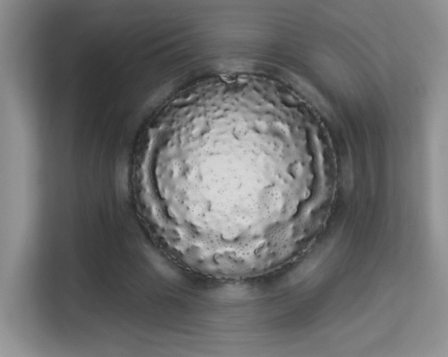 X0000113980441200910091321