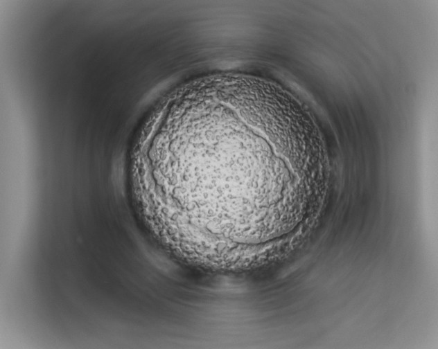 X0000113980442200910091321