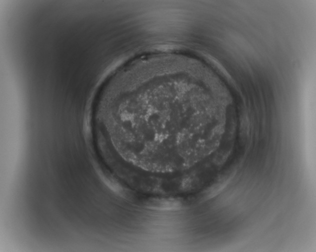 X0000113980443200910091321