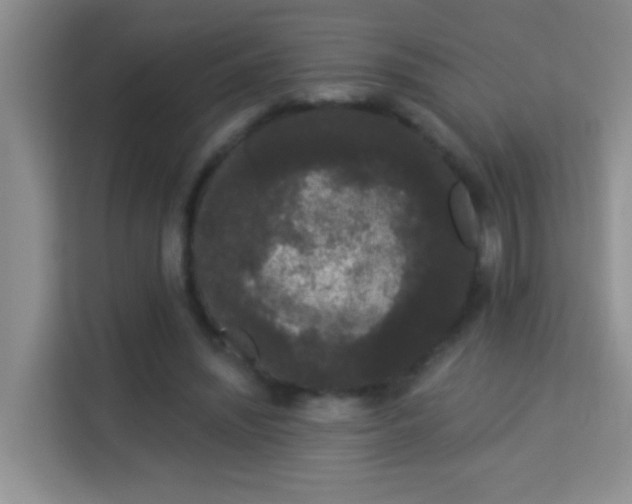 X0000113980444200910091321