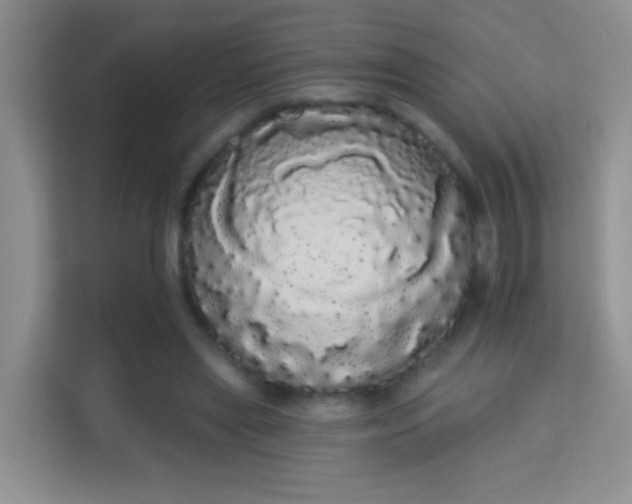 X0000113980445200910091321