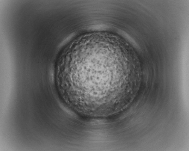 X0000113980446200910091321