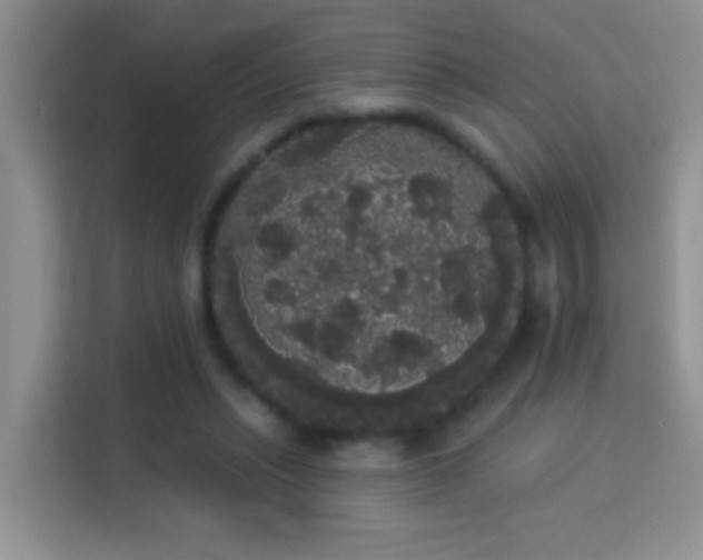 X0000113980447200910091321