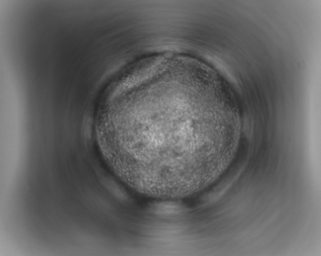 X0000113980449200910091321