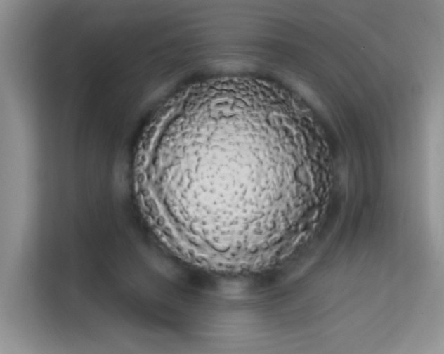 X0000113980450200910091321