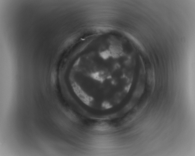 X0000113980451200910091321