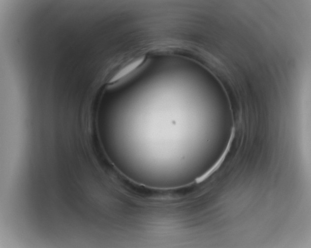 X0000113980452200910091321