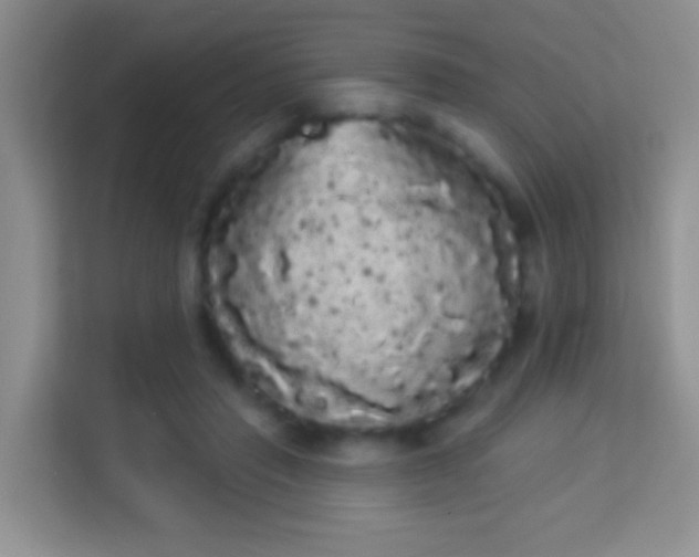 X0000113980453200910091321