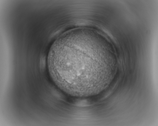 X0000113980454200910091321