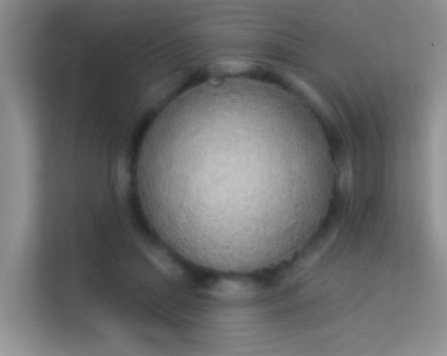 X0000113980455200910091321