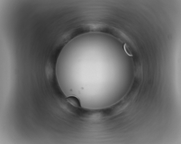 X0000113980456200910091321