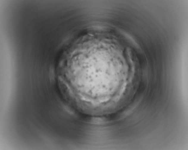 X0000113980457200910091321