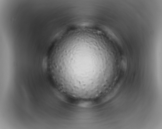 X0000113980458200910091321