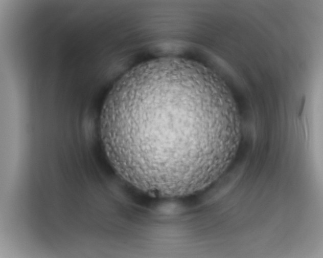 X0000113980460200910091321