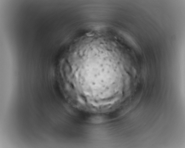 X0000113980461200910091321