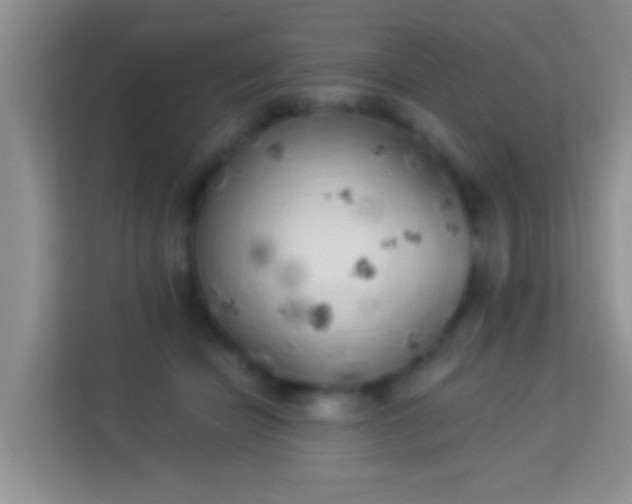 X0000113980462200910091321