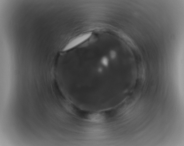 X0000113980465200910091321