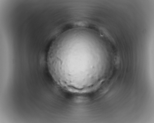 X0000113980466200910091321