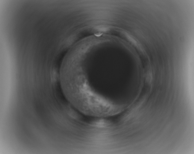 X0000113980467200910091321