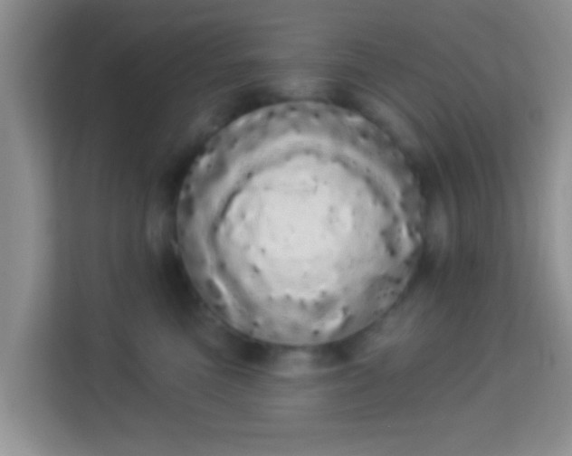 X0000113980473200910091322